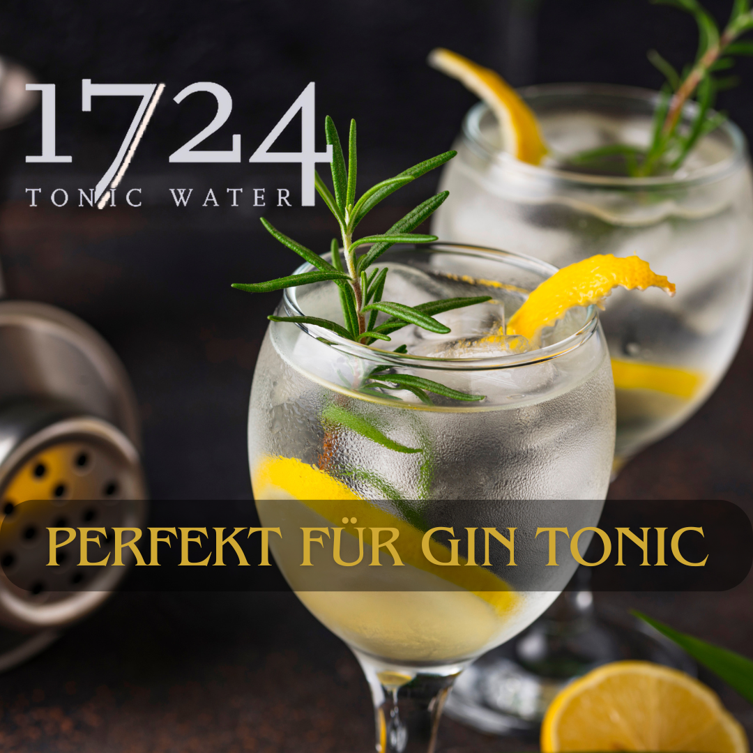 Seventeen 1724 Tonic Water – 6er Pack (200ml) – Die perfekte Begleitung für Ihren Gin