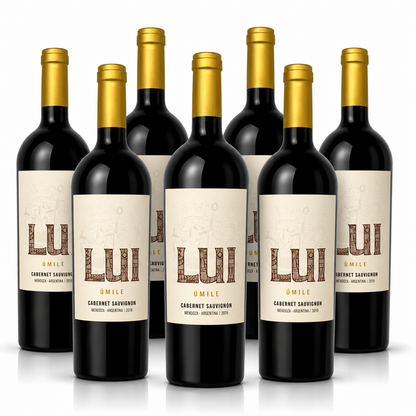 LUI Úmile Cabernet Sauvignon – Kraft und Finesse aus den Anden