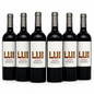 LUI Wind Blend Cabernet Merlot – Argentinische Finesse im Glas