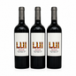 LUI Wind Blend Cabernet Merlot – Argentinische Finesse im Glas