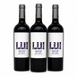 LUI Wind Blend Malbec Bonarda – Argentinische Eleganz im Glas