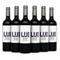 LUI Wind Blend Malbec Bonarda – Argentinische Eleganz im Glas